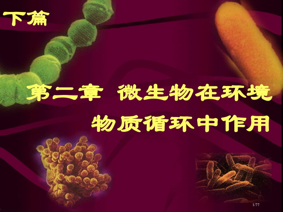 第08环境工程微生物学.pptx_第1页