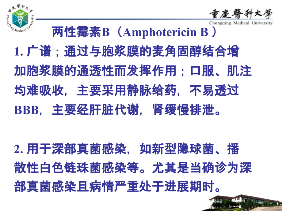 第44章--抗真菌药.ppt_第2页