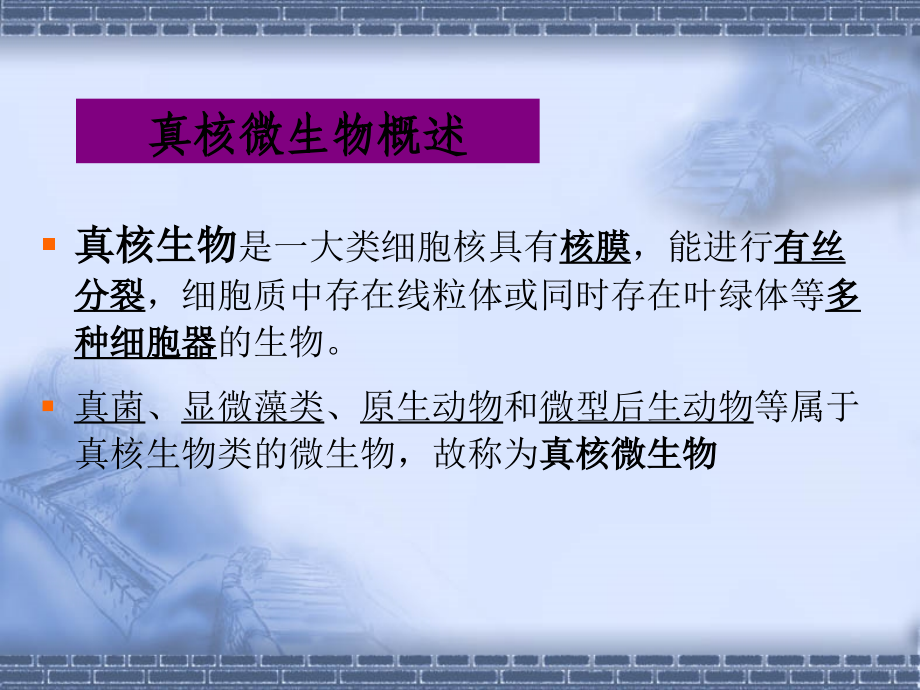 第4：真核微生物.ppt_第2页