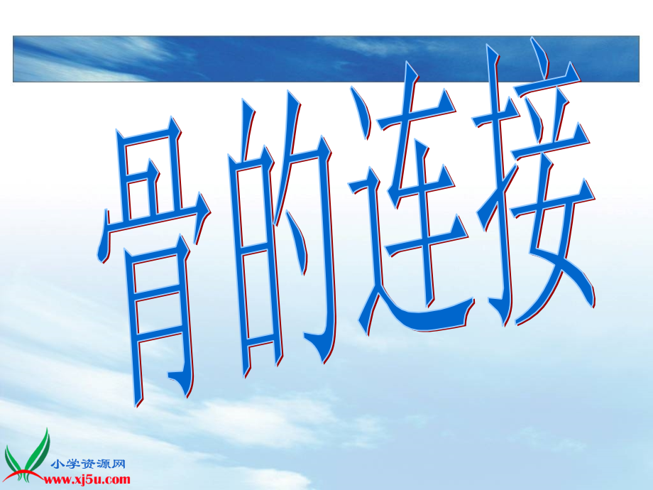 三年级科学下册《关节》3.ppt_第2页