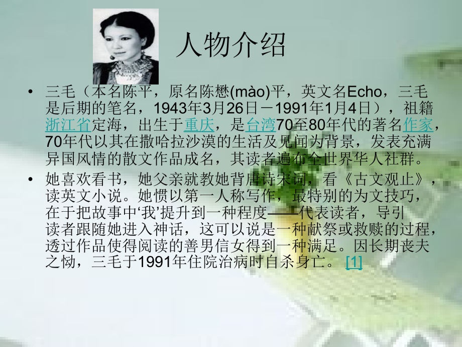 三毛的那些事.ppt_第2页