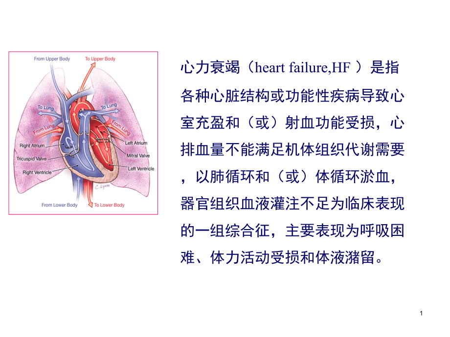 第8版-内科学-心内科-心力衰竭-心衰.ppt_第1页