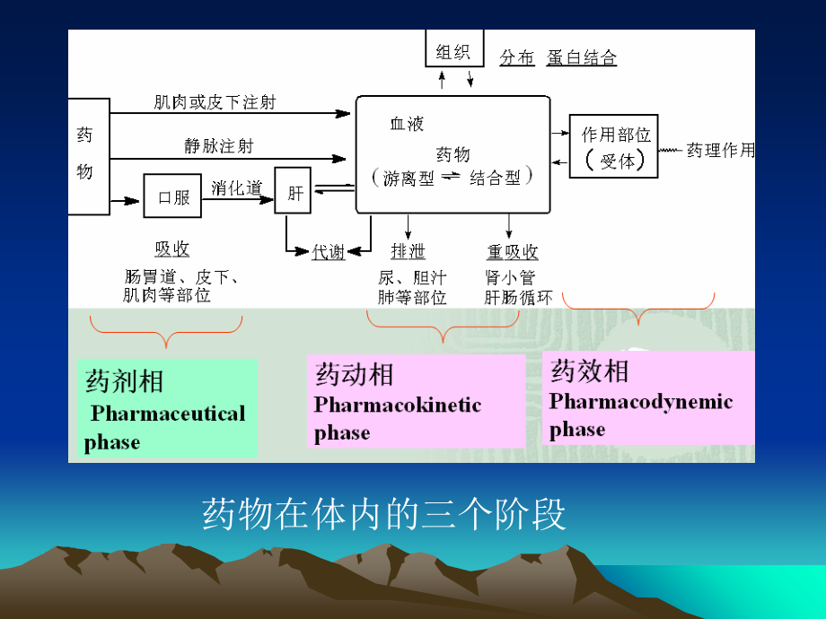 第3章-药物的化学结构与生物活性的关系(1-2节).ppt_第1页