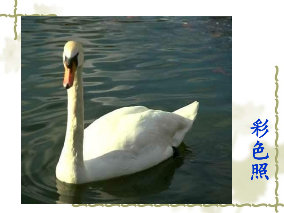 七年级美术黑白世界第一课时.ppt_第2页