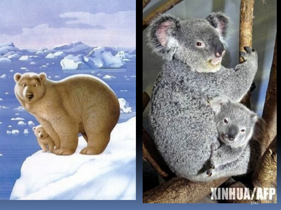 胡适《我的母亲》.pptx_第2页