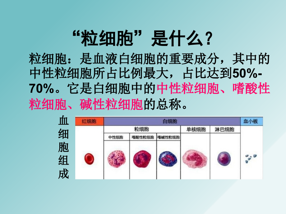 粒细胞异常治疗的注意事项.ppt_第2页