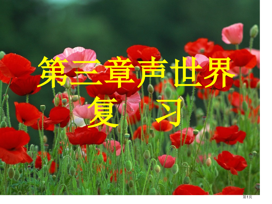 声的世界复习课市公开课特等奖市赛课微课一等奖课件.pptx_第1页