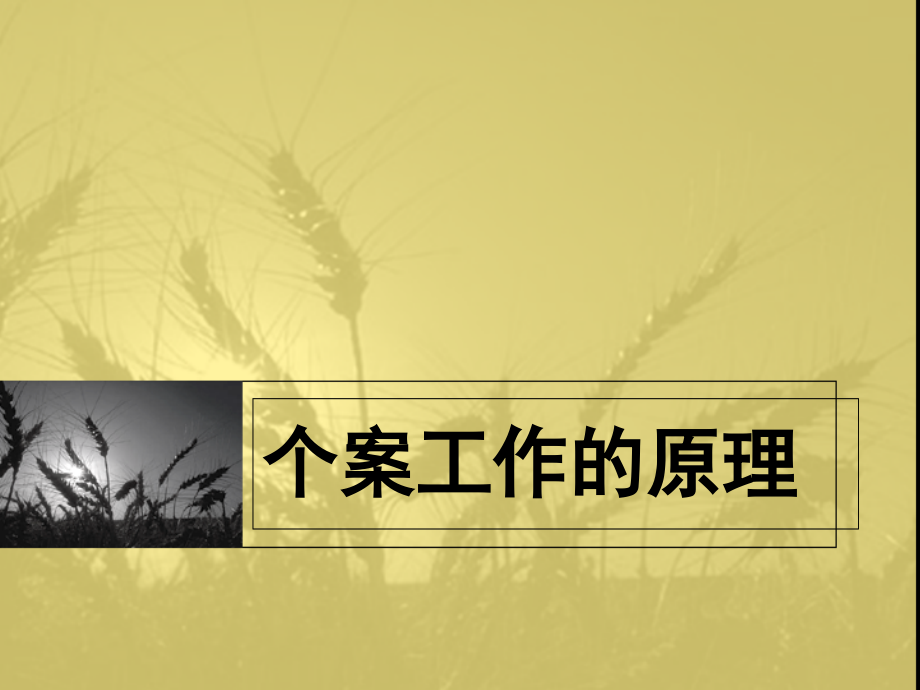 第一章-个案工作的原理.ppt_第1页