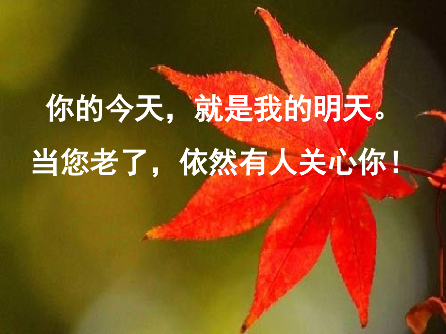 老有所医-老有所养——老年人冬季养生保健知识讲座.pptx_第2页