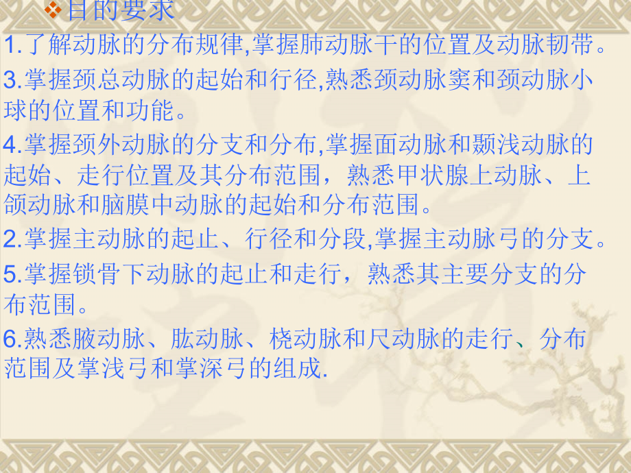 系统解剖学动脉1.ppt_第2页