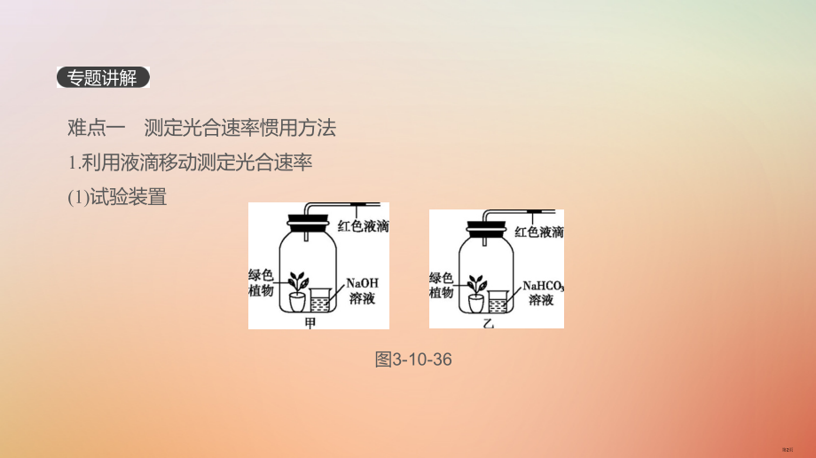 高考生物复习第3单元细胞的能量供应和利用拓展微课光合速率的测定方法及计算全国公开课一等奖百校联赛示范.pptx_第2页