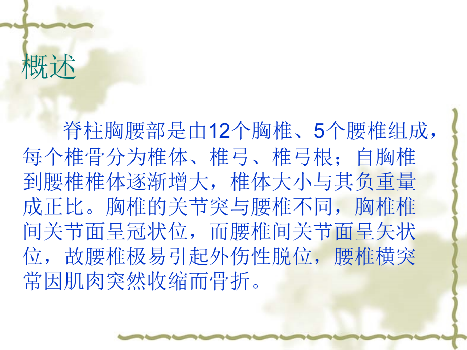 胸腰椎骨折病人相关护理[1].ppt_第1页