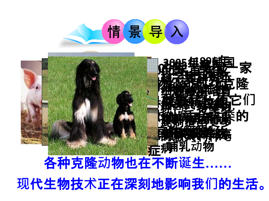 现代生物技术的应用课件(苏教版).ppt_第2页