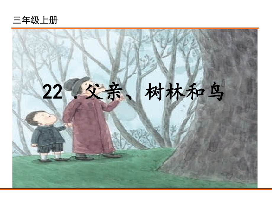 部编统编三上语文22-父亲、树林和鸟教案课件.ppt_第1页