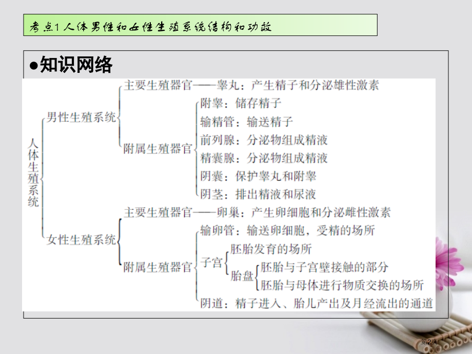 中考生物第六章考点1-6复习市赛课公开课一等奖省名师优质课获奖课件.pptx_第2页