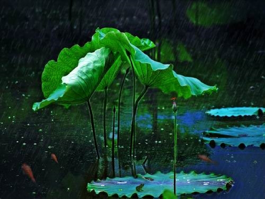 爱莲说》课件.ppt_第1页