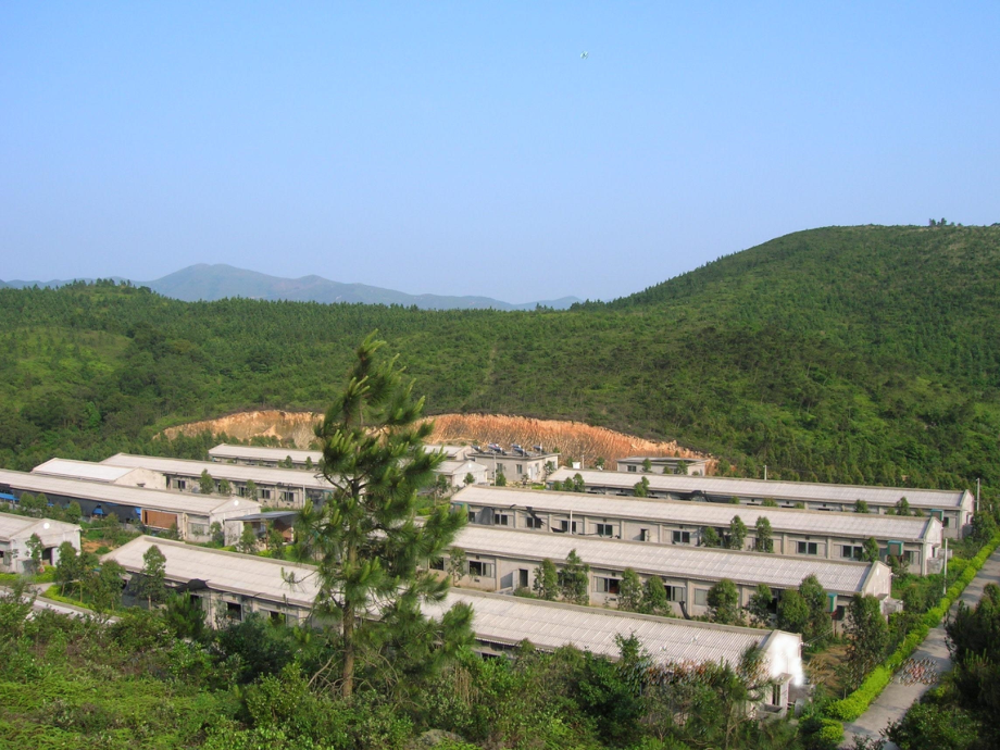 母猪的营养和管理.ppt_第1页