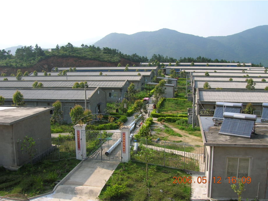 母猪的营养和管理.ppt_第2页