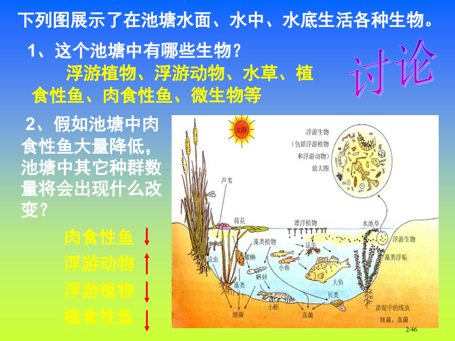 高二生物必修343群落的结构.pptx_第2页