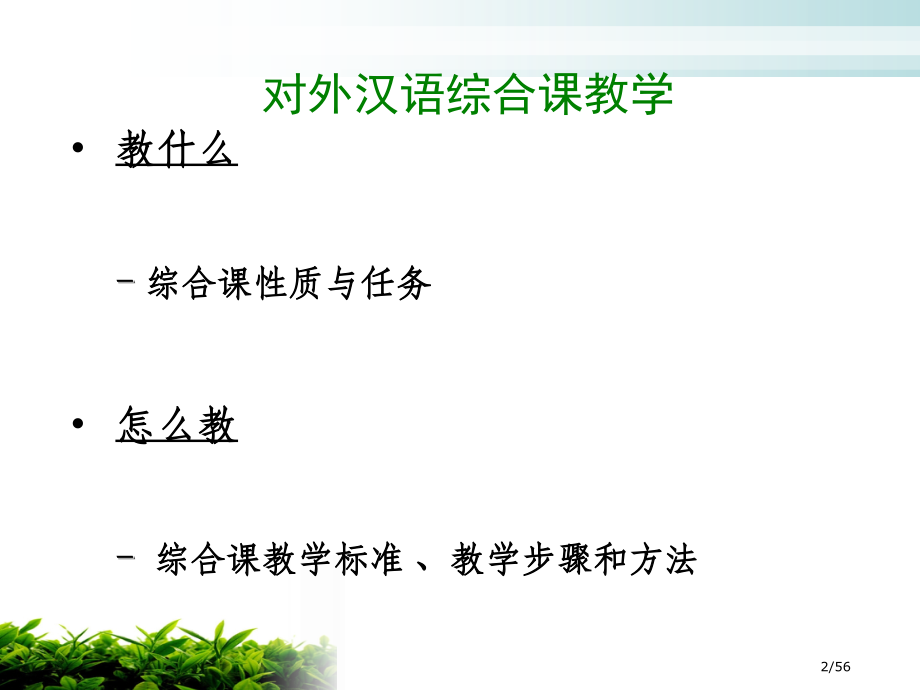 汉语综合课教学.pptx_第2页
