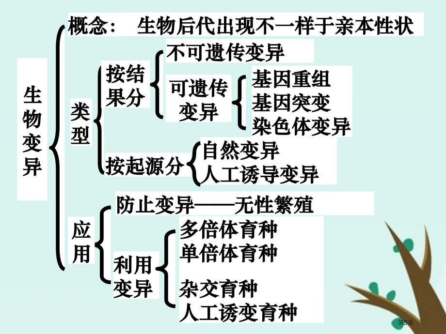 高考生物总复习专题变异育种进化全国公开课一等奖百校联赛示范课赛课特等奖课件.pptx_第2页