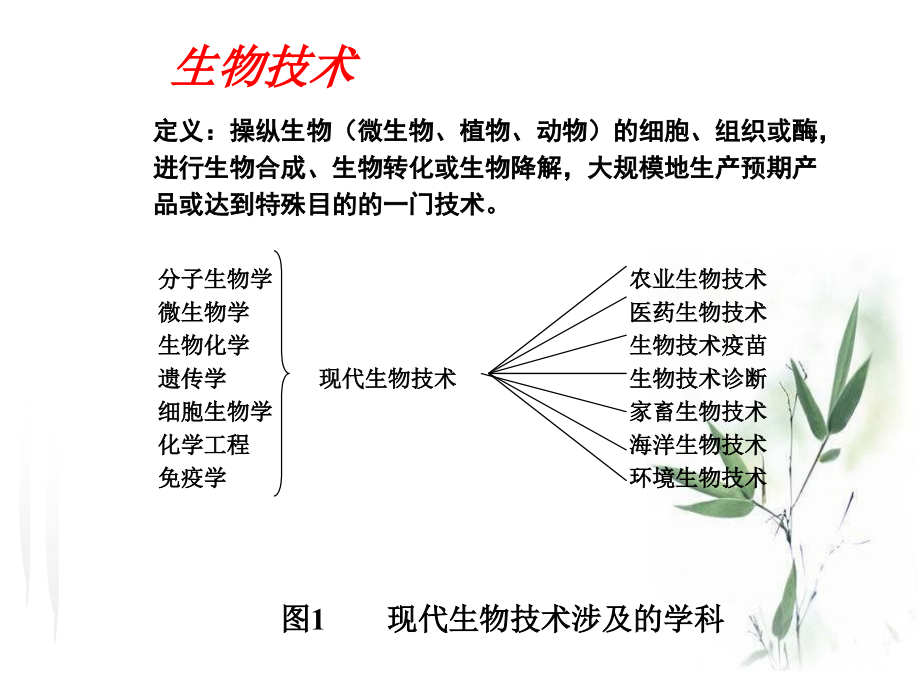 环境生物技术复习1.ppt_第1页