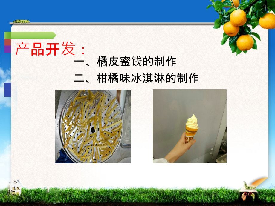 橘子加工汇报.ppt_第1页