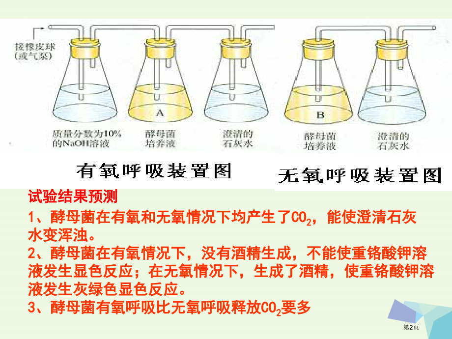 高考生物细胞代谢专题第五部分呼吸作用复习全国公开课一等奖百校联赛示范课赛课特等奖课件.pptx_第2页