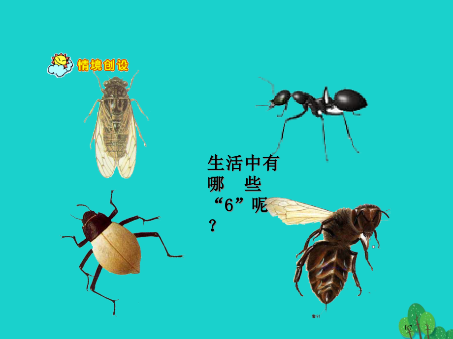 二年级数学上册3.56的乘法口诀教案全国公开课一等奖百校联赛微课赛课特等奖课件.pptx_第1页