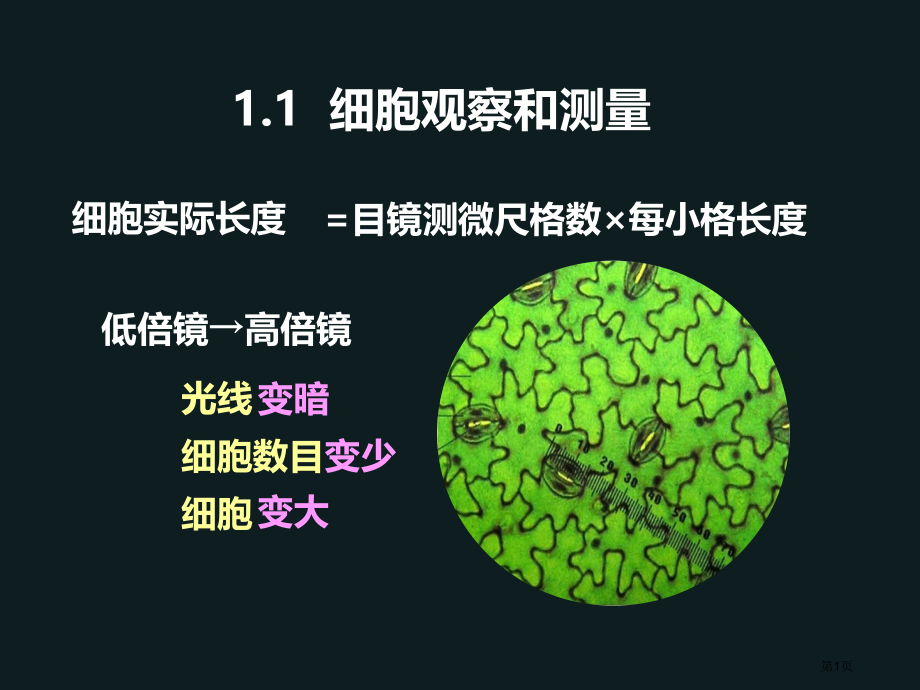 生命科学的基础实验市公开课一等奖省赛课微课金奖课件.pptx_第1页