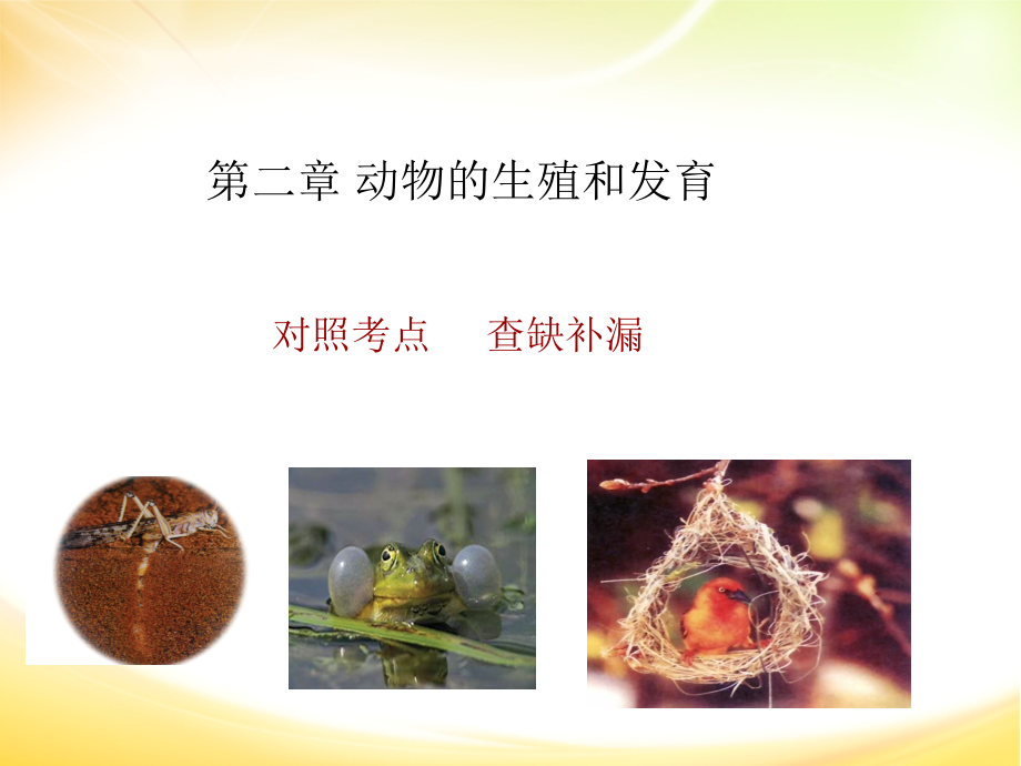 济南版八年级生物上册《4.2-动物的生殖和发育》查缺补漏复习(共12张).ppt_第1页