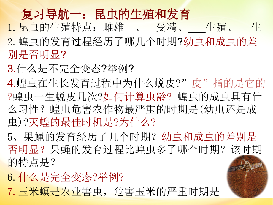 济南版八年级生物上册《4.2-动物的生殖和发育》查缺补漏复习(共12张).ppt_第2页