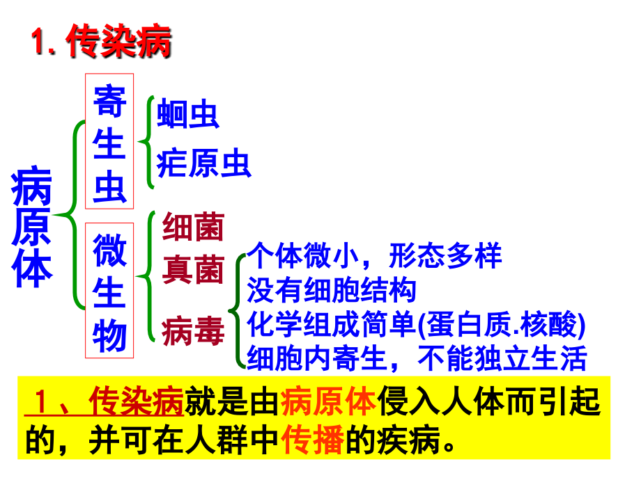 生物复习11.ppt_第1页