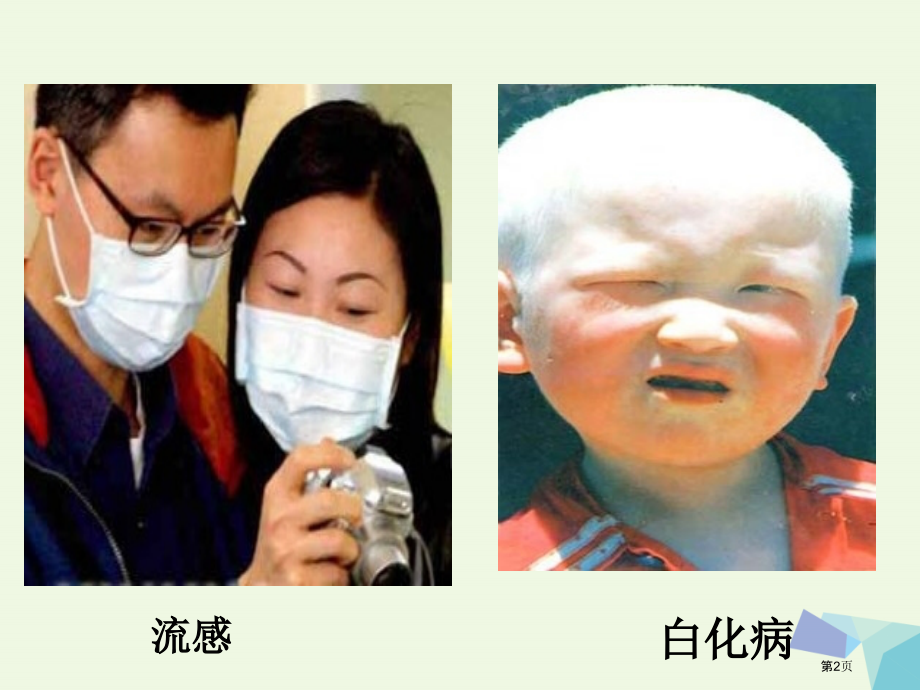 高中生物第五章基因突变及其他变异5.3人类遗传病省公开课一等奖新名师优质课获奖课件.pptx_第2页