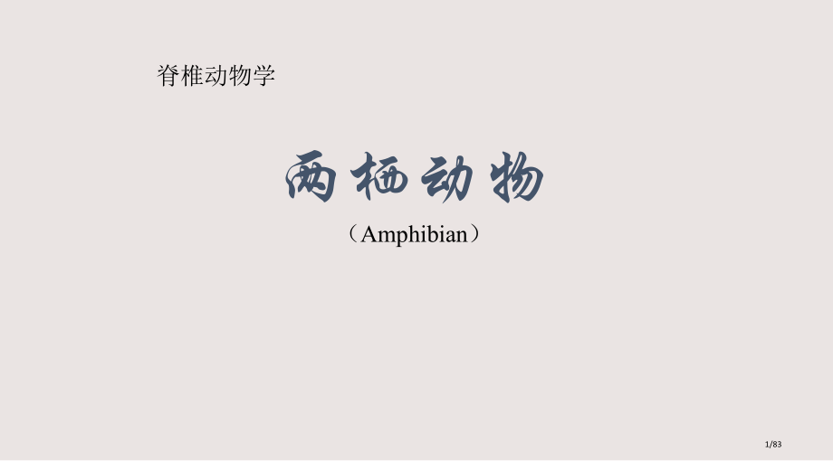 两栖动物生物学课件.pptx_第1页