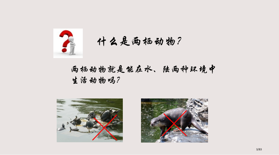 两栖动物生物学课件.pptx_第2页