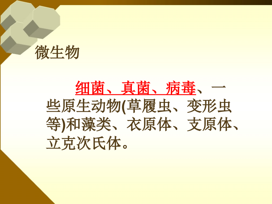 神奇的微生物》.ppt_第2页