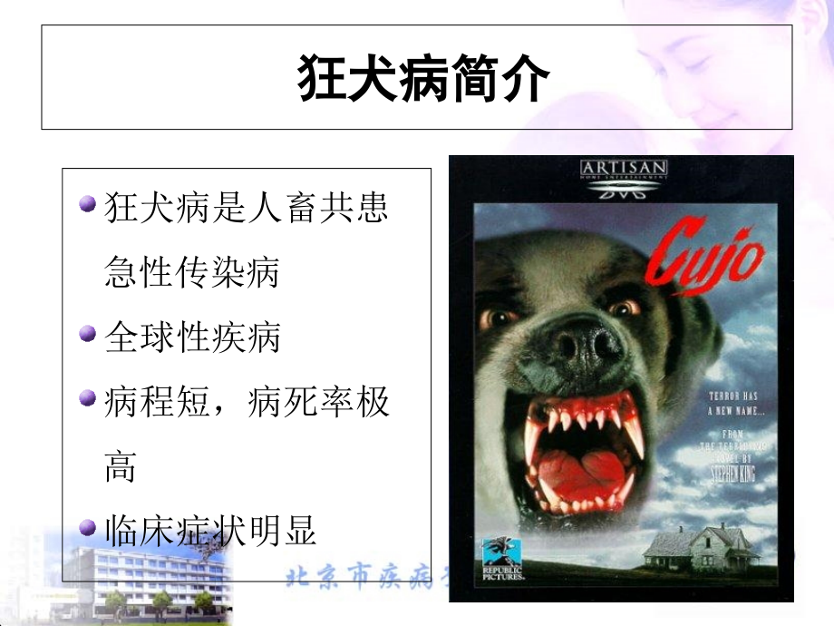 狂犬病的流行形势及应急处理.ppt_第1页