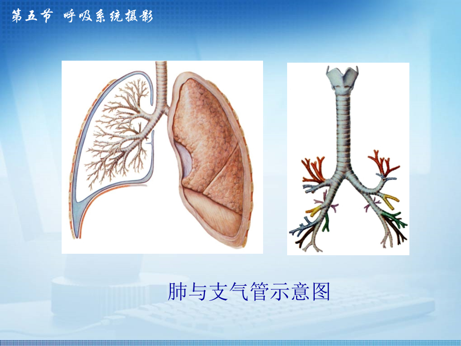 检查技术3-5.ppt_第1页