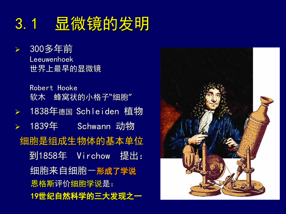 生物学导论03细胞-1.ppt_第2页