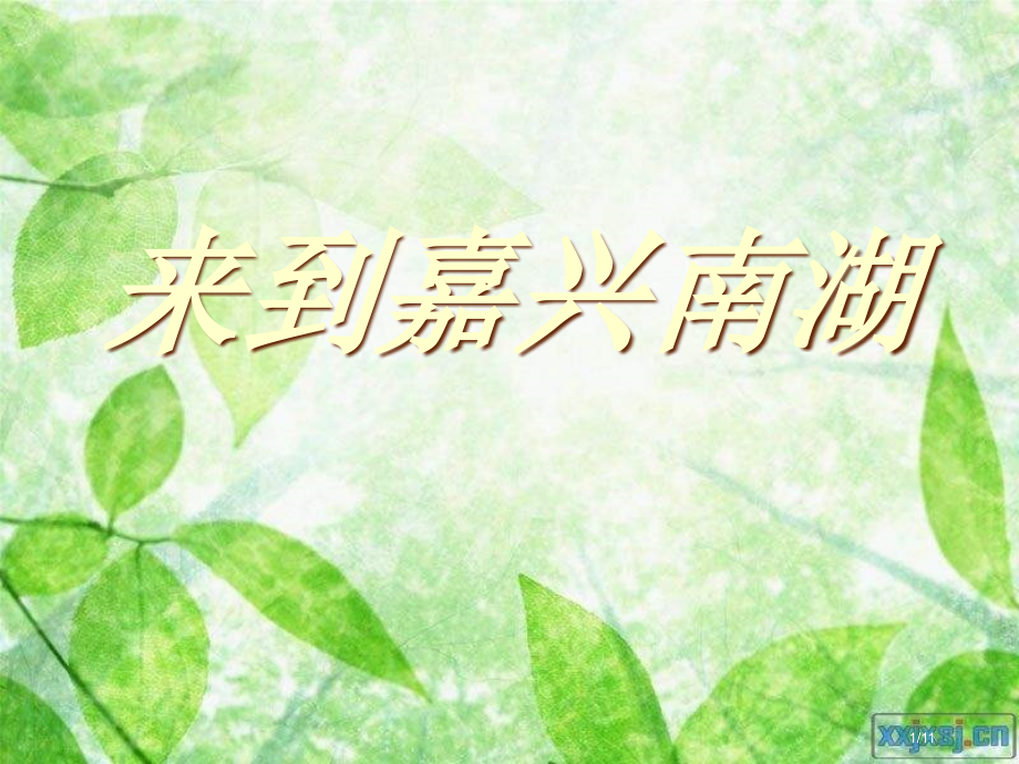 六年级思想品德上册来到嘉兴南湖教案山东全国公开课一等奖百校联赛微课赛课特等奖课件.pptx_第1页