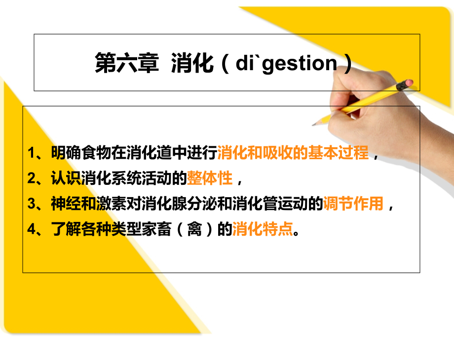 畜禽生理学-消化.ppt_第1页