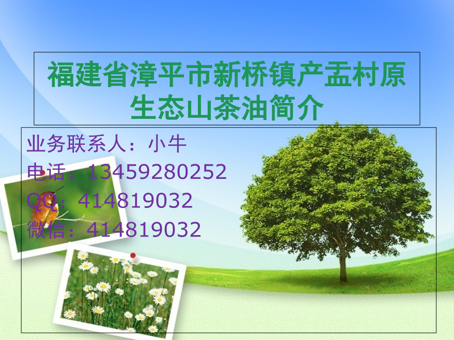 漳平市新桥镇产盂村原生态山茶油简介(详细版).ppt_第1页