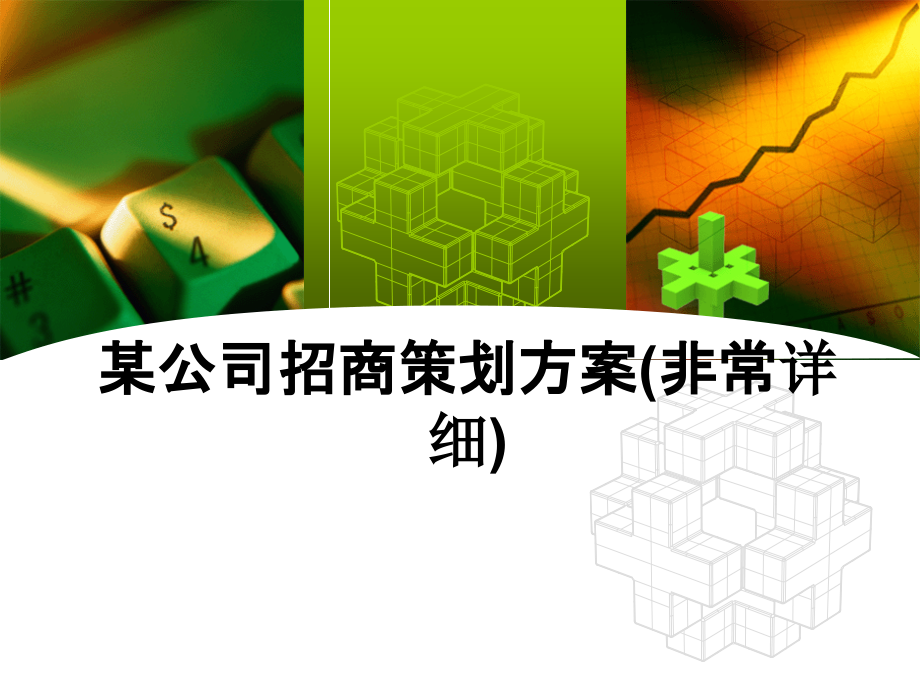 某公司招商策划方案(非常详细).ppt_第1页