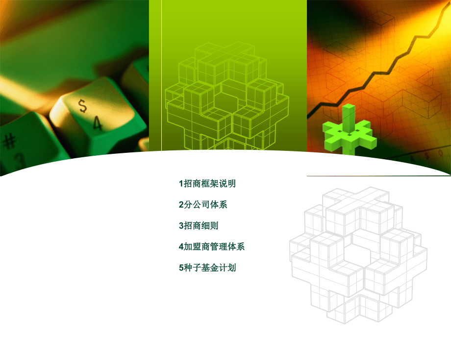 某公司招商策划方案(非常详细).ppt_第2页