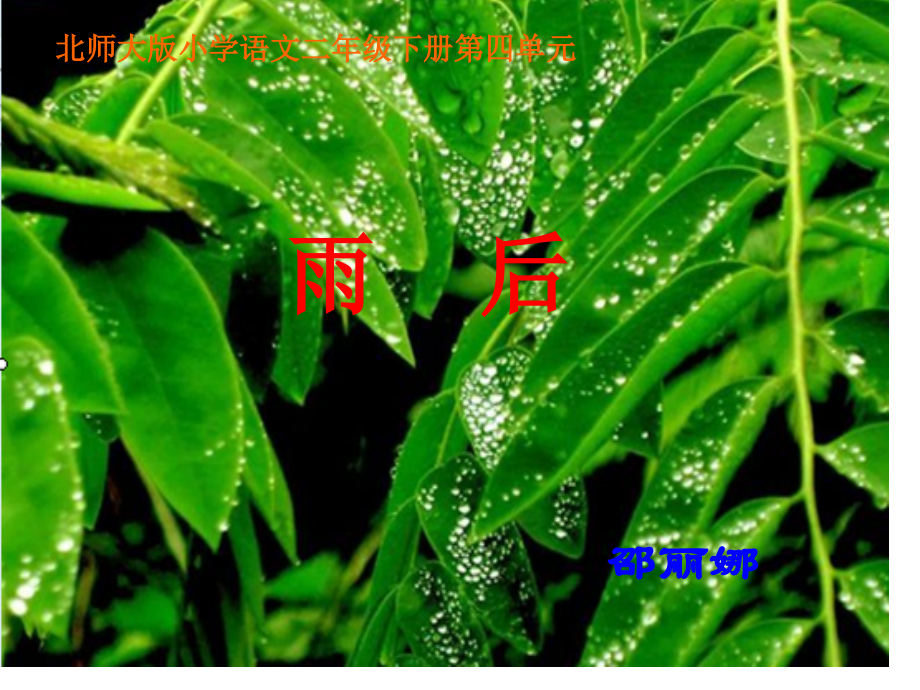 雨后市公开课一等奖市赛课金奖课件.pptx_第1页