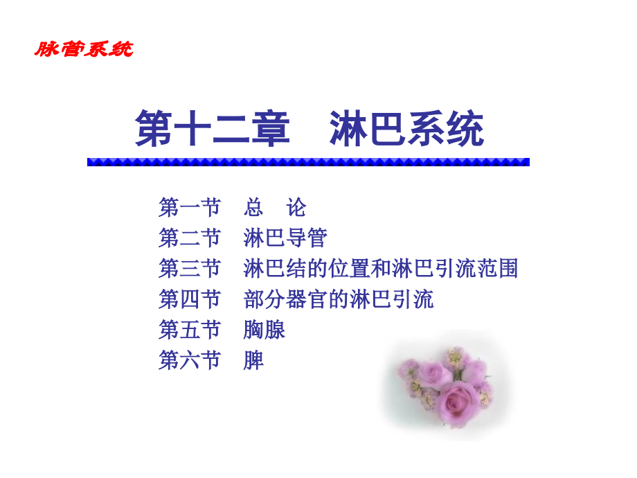淋巴系统1.ppt_第1页