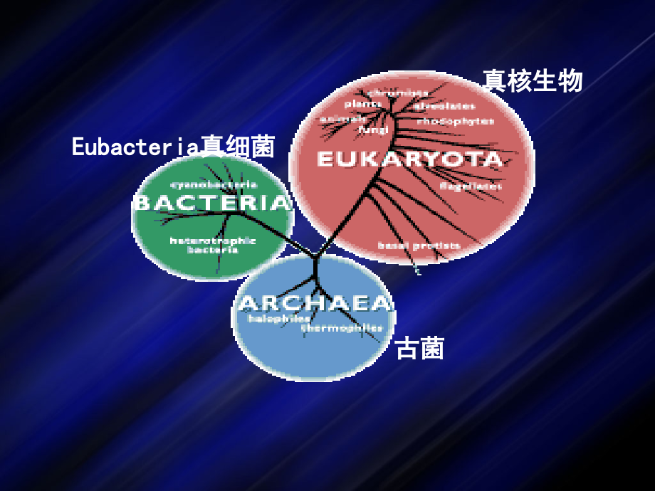 环境细胞微生物学-第一章No.2.ppt_第1页