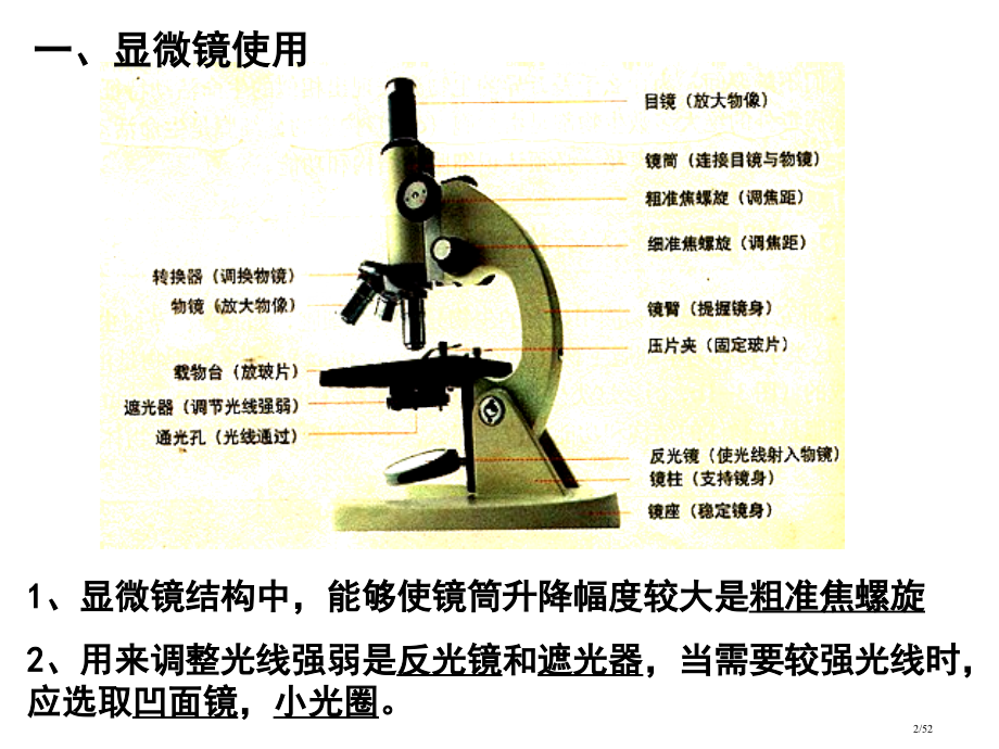 初中地理生物掌中宝.pptx_第2页