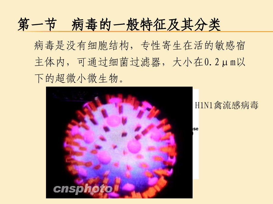 第一章-病毒环境工程微生物.ppt_第1页